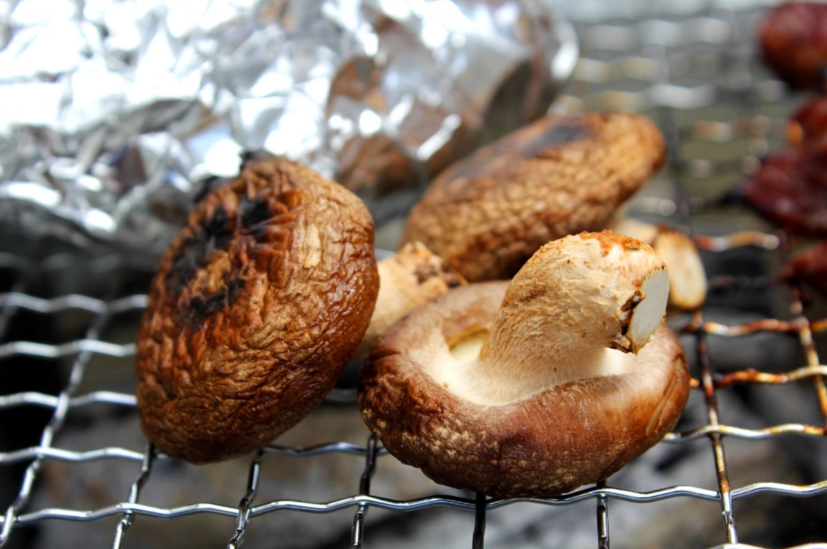 しいたけに発生した白いカビのようなものは食べられるの