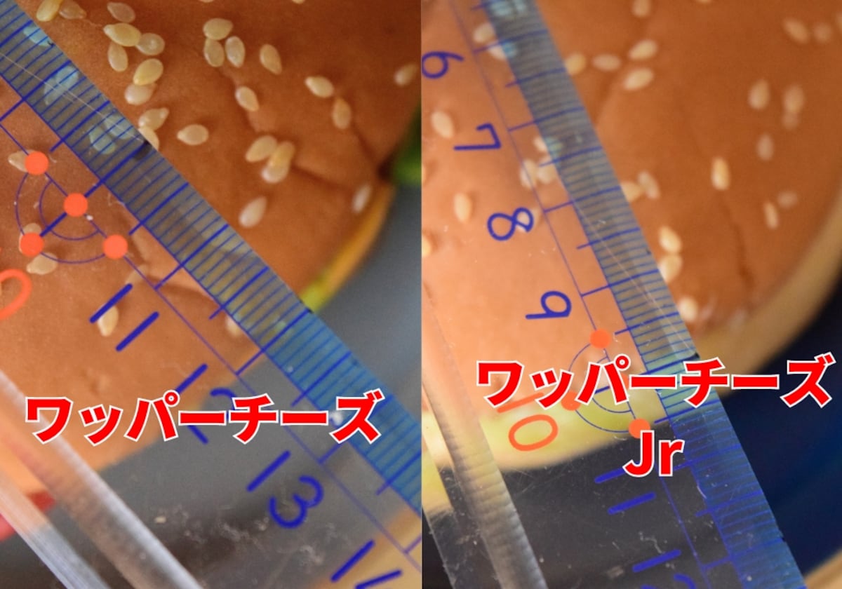 バーガーキングのダブルワッパーJr.チーズ: ハンバーガーストリートブログ版
