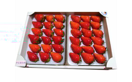 いつもとんとん市場ご利用頂き有難う御座います。 🐼お知らせ📢 ▶️ 真下いちご園さん。 加藤さんのいちご園さん。 飯島稔さん。 なかくき農園さん。よりいちご🍓が沢山出ておりますよ〜。 あまりん、紅ほっぺ、あきひめ、やよい姫 など🥰 ▶️福豆あります。 節分用に