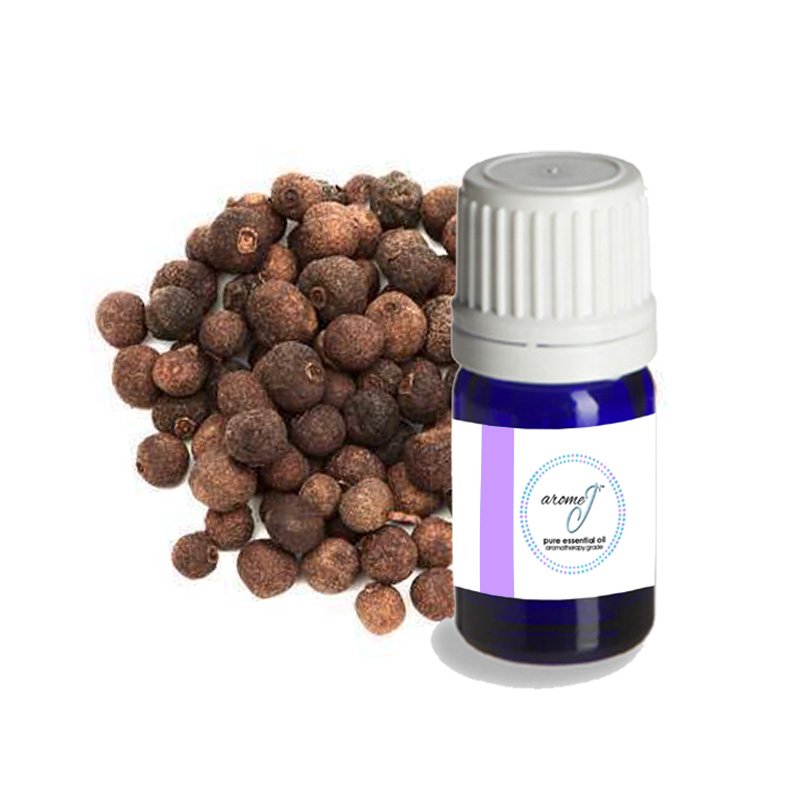 Chicken Pimento & Laranja Cheese Curry⁡ ~🍽~ 本日よりご提供する新作ディナー料理となります。 