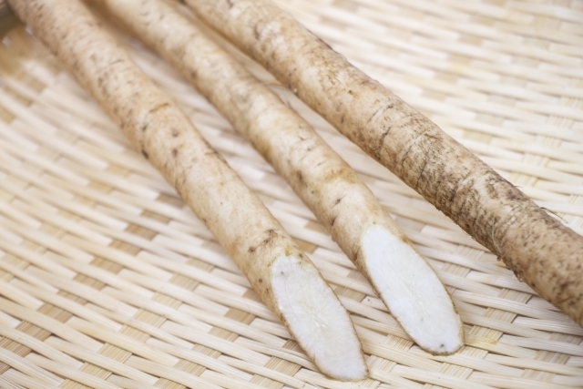 鮭とごぼうの胡麻味噌煮