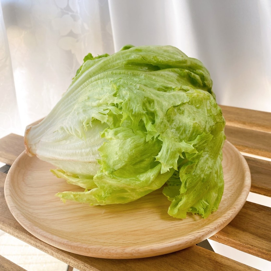 レタス野菜保存のポイント保存テクニック旭化成ホームプロダクツ