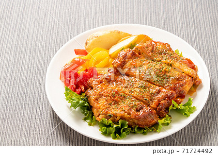 サラダチキン タンドリーチキン風 100g×5個1回楽天市場ふるさと納税サラダチキン タンドリーチキン風 100g×5個単品or 定期便が選べるアマタケ 国産 鶏肉 リン酸塩不使用 小分け ダイエット 冷凍 タンパク質 トレーニング 限定 オールフリー 抗生