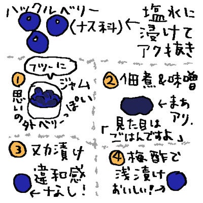 ガーデンハックルベリージャム