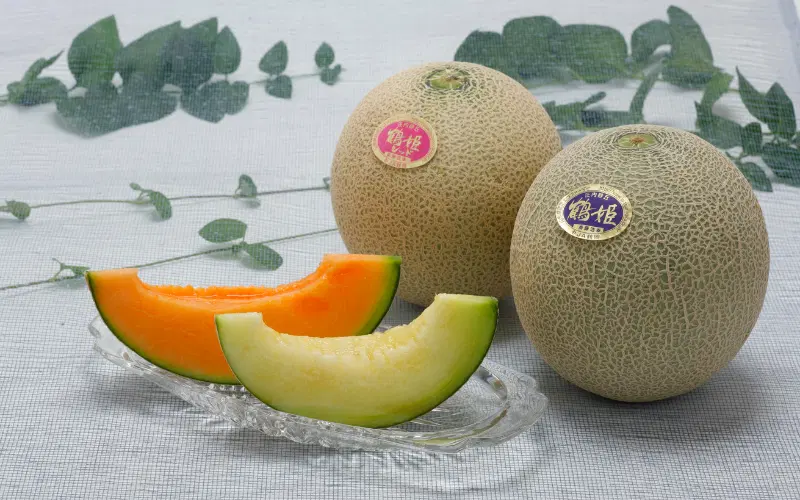 庄内砂丘メロン販売会