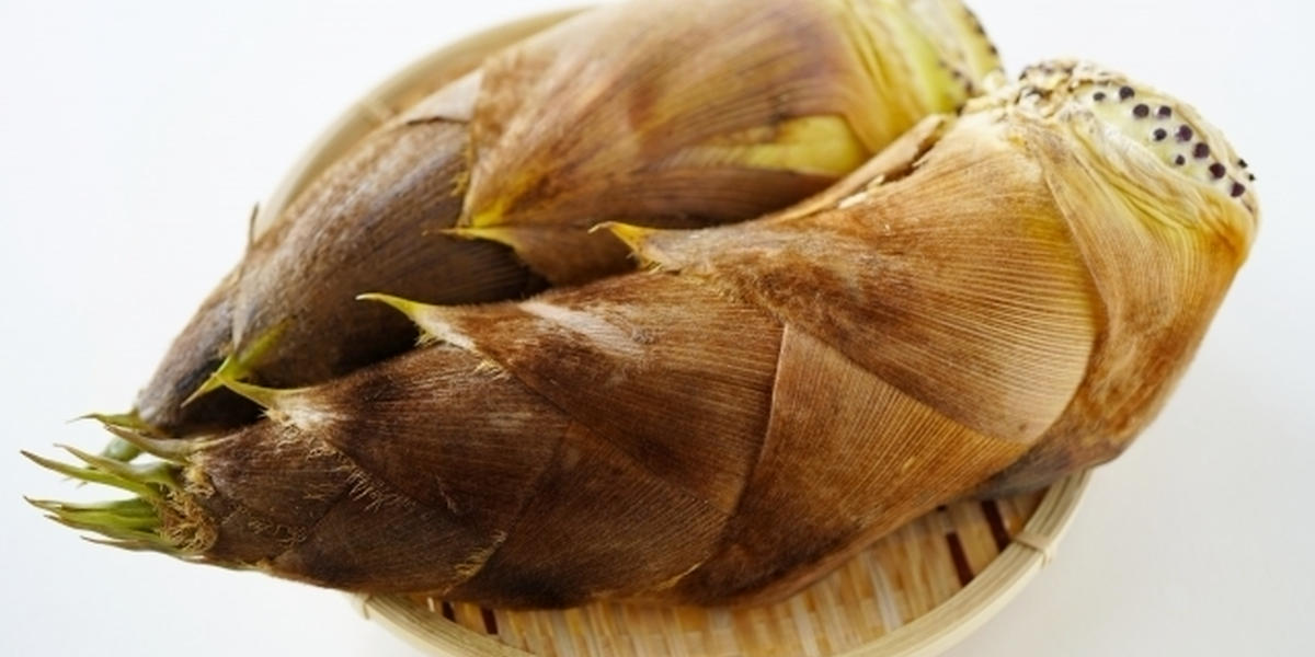 はちくってどんな食べ物？味や旬の時期、たけのことの違いについて解説！クラシル