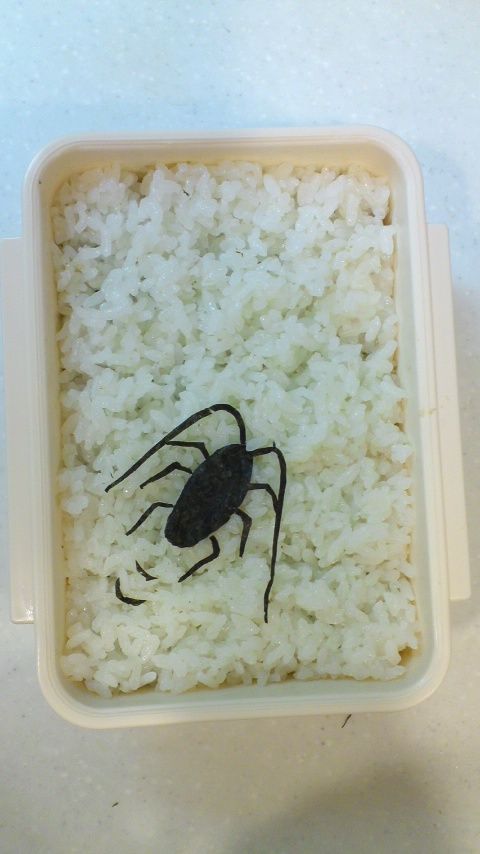 嫌がらせ☆簡単豚の生姜焼き復讐弁当 by Hａcｈiクックパッド簡単おいしいみんなのレシピが392万品