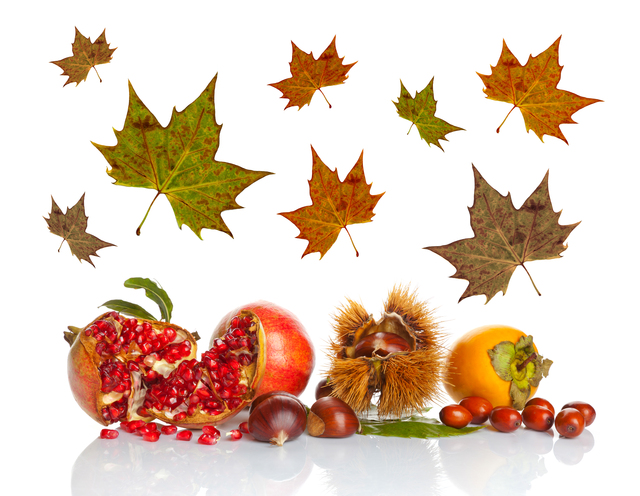 秋の果物特集ふるさと納税サイト まいふる by AEON CARD