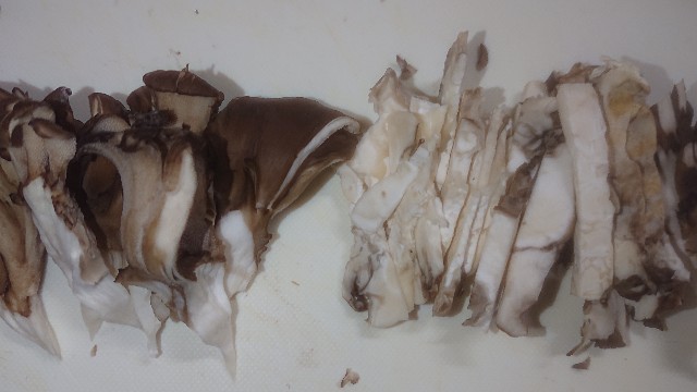 まいたけの石づき 根元 はどこまで切るの？きのこの疑問に答えるシリーズ関東きのこの会