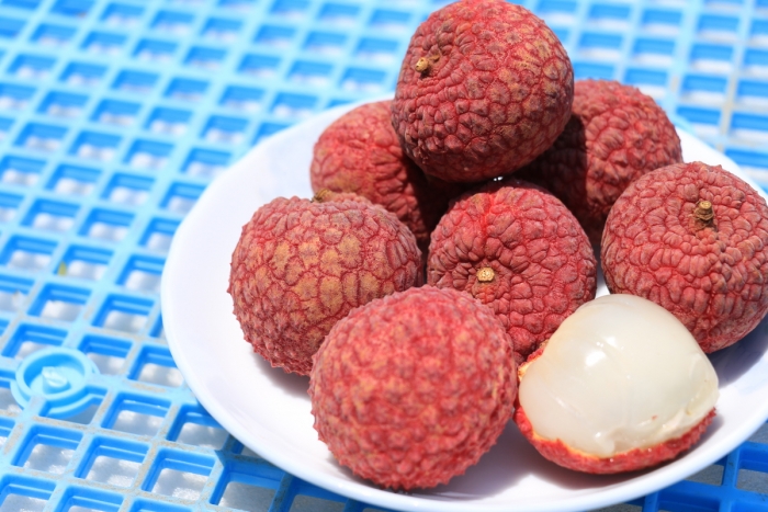 特産品宮崎県農業協同組合 JAみやざき