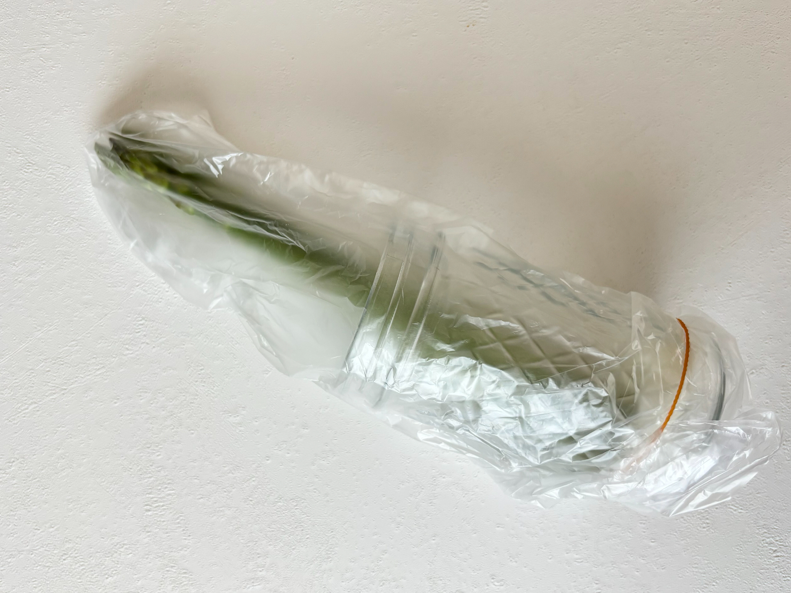 鮮度が重要！ シャキッとおいしい「アスパラガス」の保存方法農業とITの未来メディア「SMART AGRI スマートアグリ 」