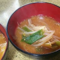 ワンタンの皮と豆苗の味噌汁好日弁当日記