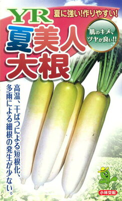 大根が苦い原因とは？食べても大丈夫？苦味の取り方・おいしい食べ