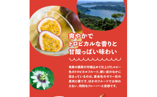 G-A1 驚きの果実感！トロピカルフルーツドリンク・ハーフボトル 合計6本・各300ml、マンゴー、グァバ、パッションフルーツ、日向夏宮崎果汁- 宮崎県串間市ふるさとチョイス - ふるさと納税サイト
