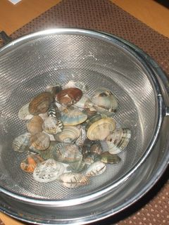 即席塩豚でカンタン時短！豚肉とあさりの豆苗蒸し レシピ・作り方MY LIFE RECIPE