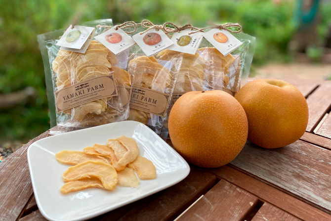 11月果物 フルーツ