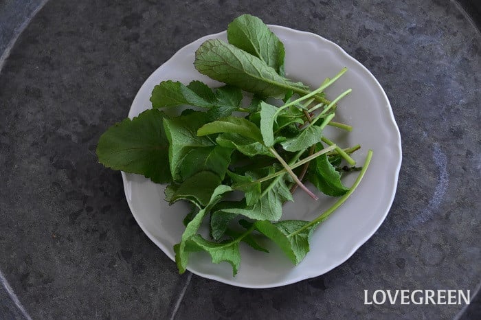 食べ方がイマイチわからなかった、旬のラディッシュ使い回し活用レシピ。実は葉も根も栄養たっぷり！固定種栽培も自由自在のラディッシュ、食卓に取り入れよう。IN YOUOrganic Life to all the people