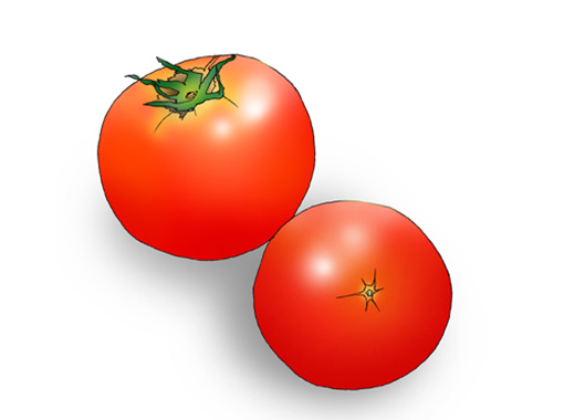 ビギナー向け！ この夏にミニトマトを自分の手で育ててみよう！GardenStoryガーデンストーリー