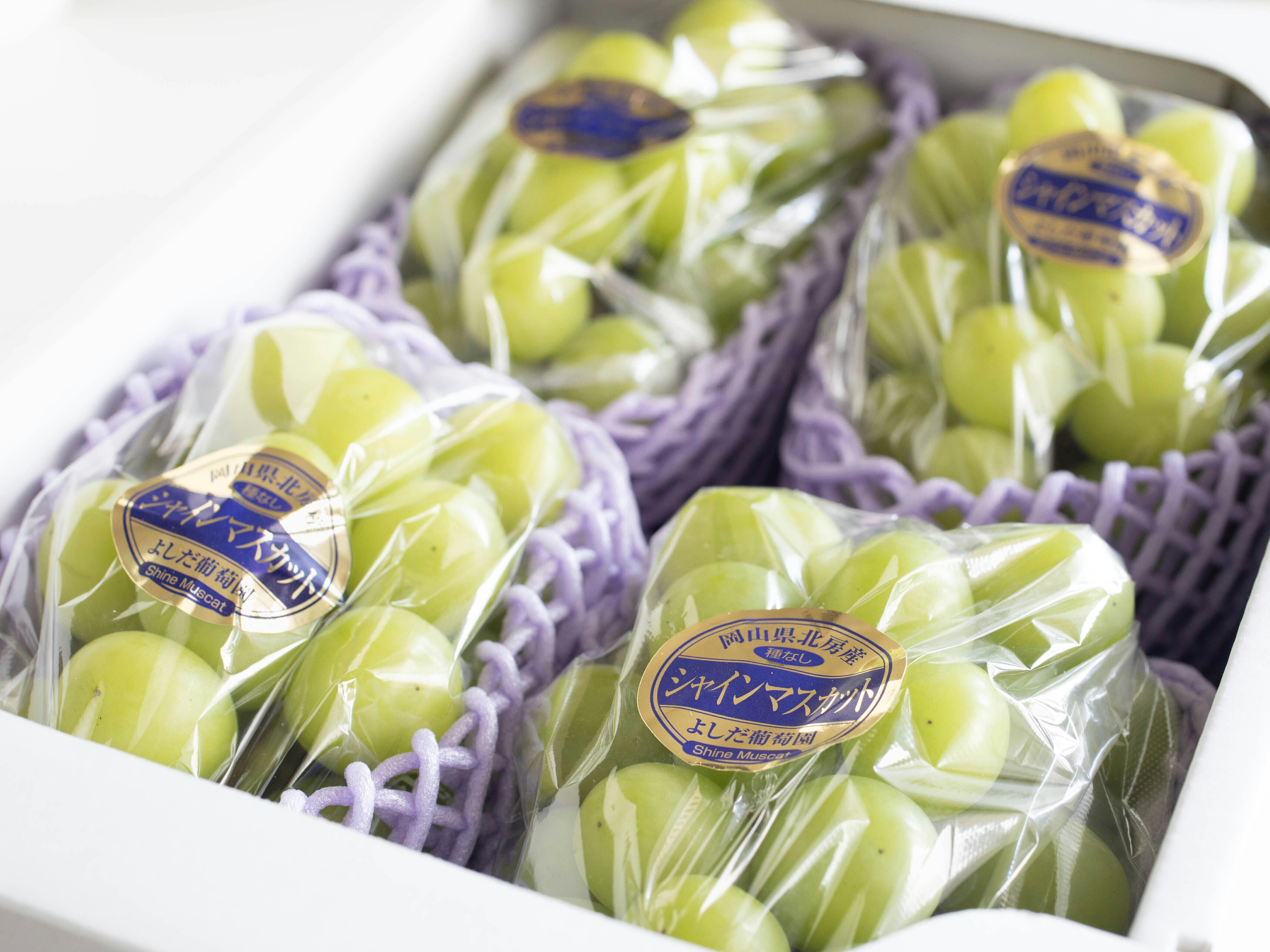 シャインマスカットのおいしさとは？多分『甘さ』と 寺本直人 寺本果樹園