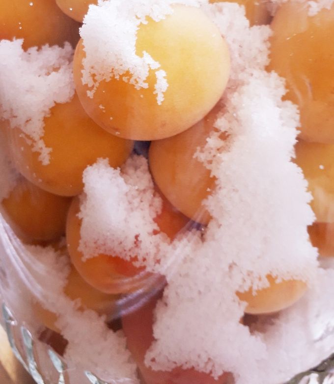 昔ながらの手作り 酸っぱい梅干 1kg 昔ながらの酸っぱい梅干し 失敗しにくい梅干しの作り方 塩分18％で赤しそ多めの梅干し作り！ 梅干し南高梅赤しそ塩分18％昔ながらの酸っぱい梅干しリッ欣ちゃんねるShorts