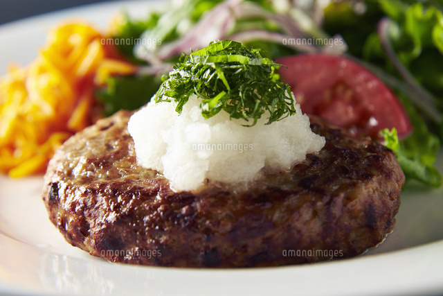 フリーイラストソースがかかったハンバーグパブリックドメインQ：著作権フリー画像素材集