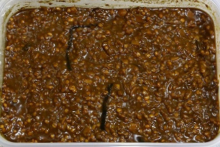 もろみ味噌レシピサイトぷちぐる