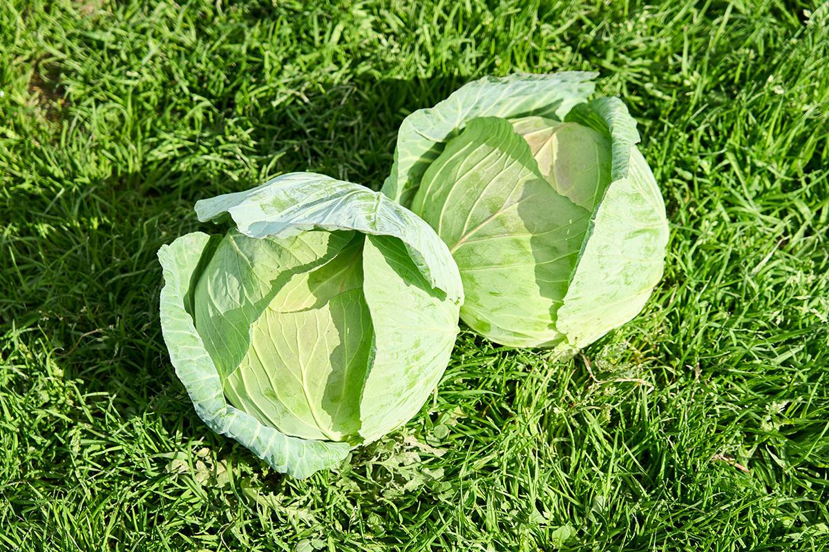 かつや 茨城荒川沖店 - 荒川沖 とんかつ食べログ