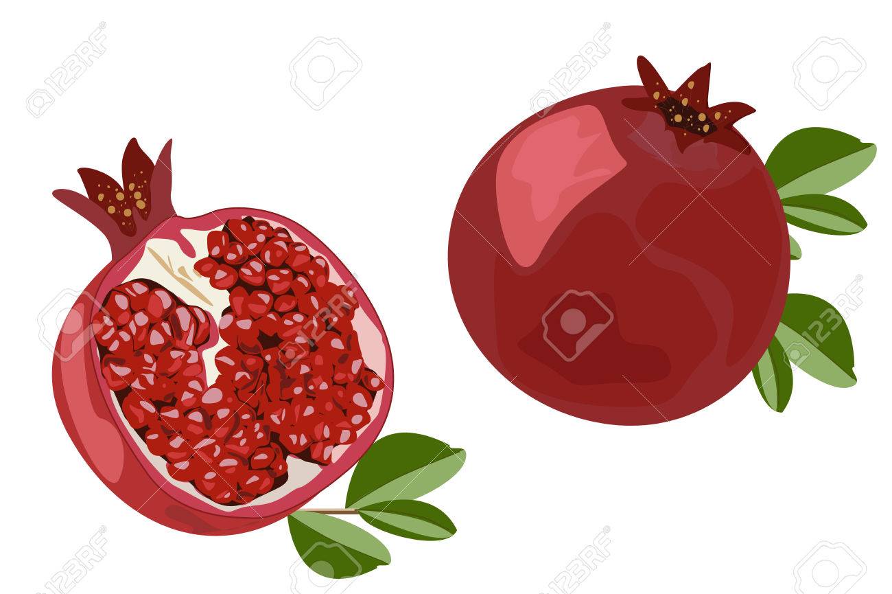 ザクロの断面のイラストかわいいフリー素材集 いらすとや