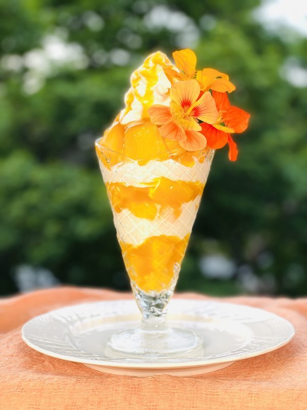 T-bear cafe' マンゴー好きのためのマンゴーを堪能するパフェ登場！🥭 贅沢に約1玉マンゴーを使用しています！中はシンプルに自家製の生クリームとシフォンケーキで、マンゴーショートケーキのような味わいに🍰仕入れ時期によりマンゴーの品種は変動いたします