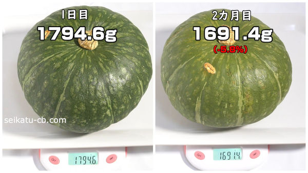 かぼちゃに白いカビ発見!もう食べられない!?食べたらどうなる?ものしりんこ