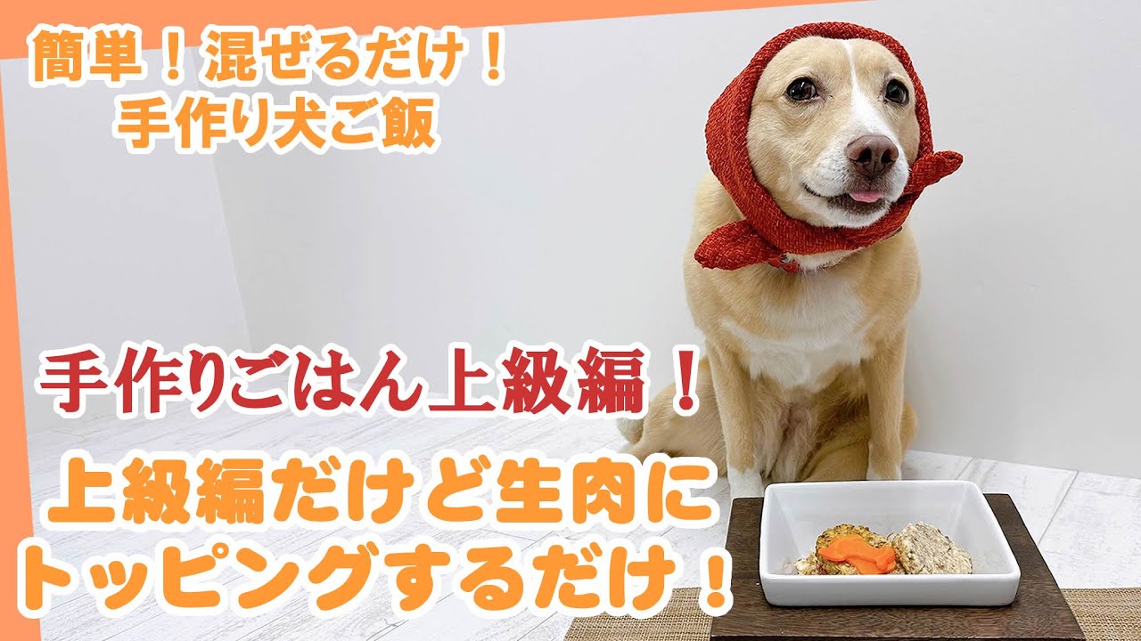 ドッグフードトッピング・手作り犬ごはんトッピング犬ごはん先生いちかわあやこ Official web site