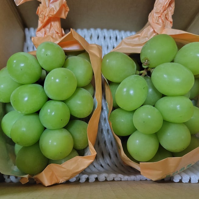 シャインマスカットの病害虫被害状況 - さぁて、畑へ行こう