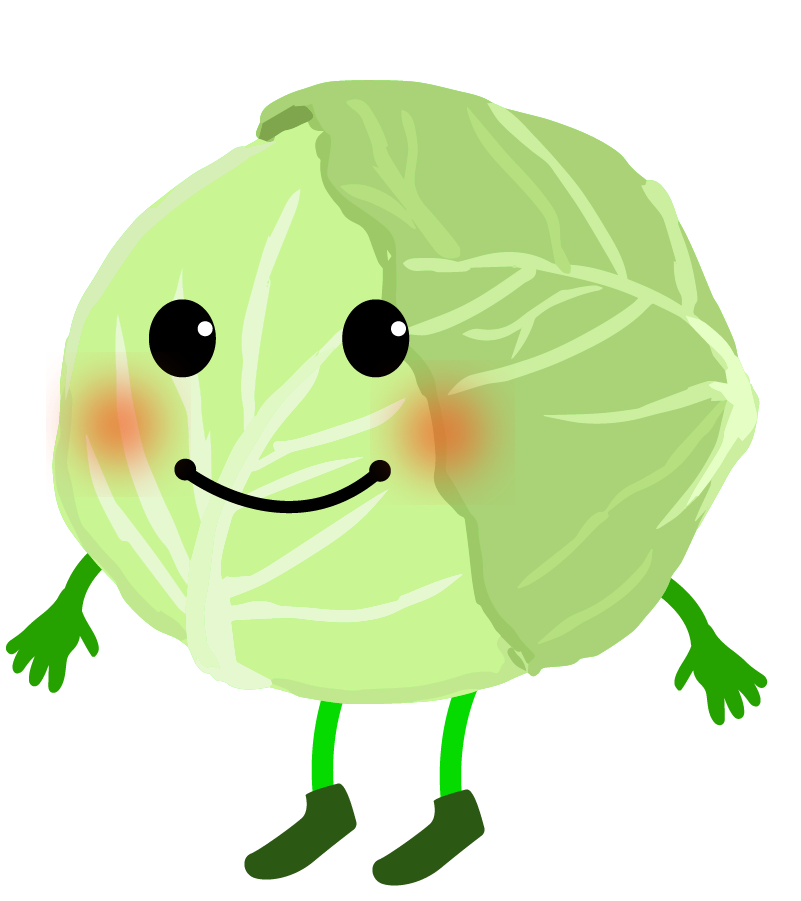 キャベツ イラスト リアル セット194523156- イメージマート