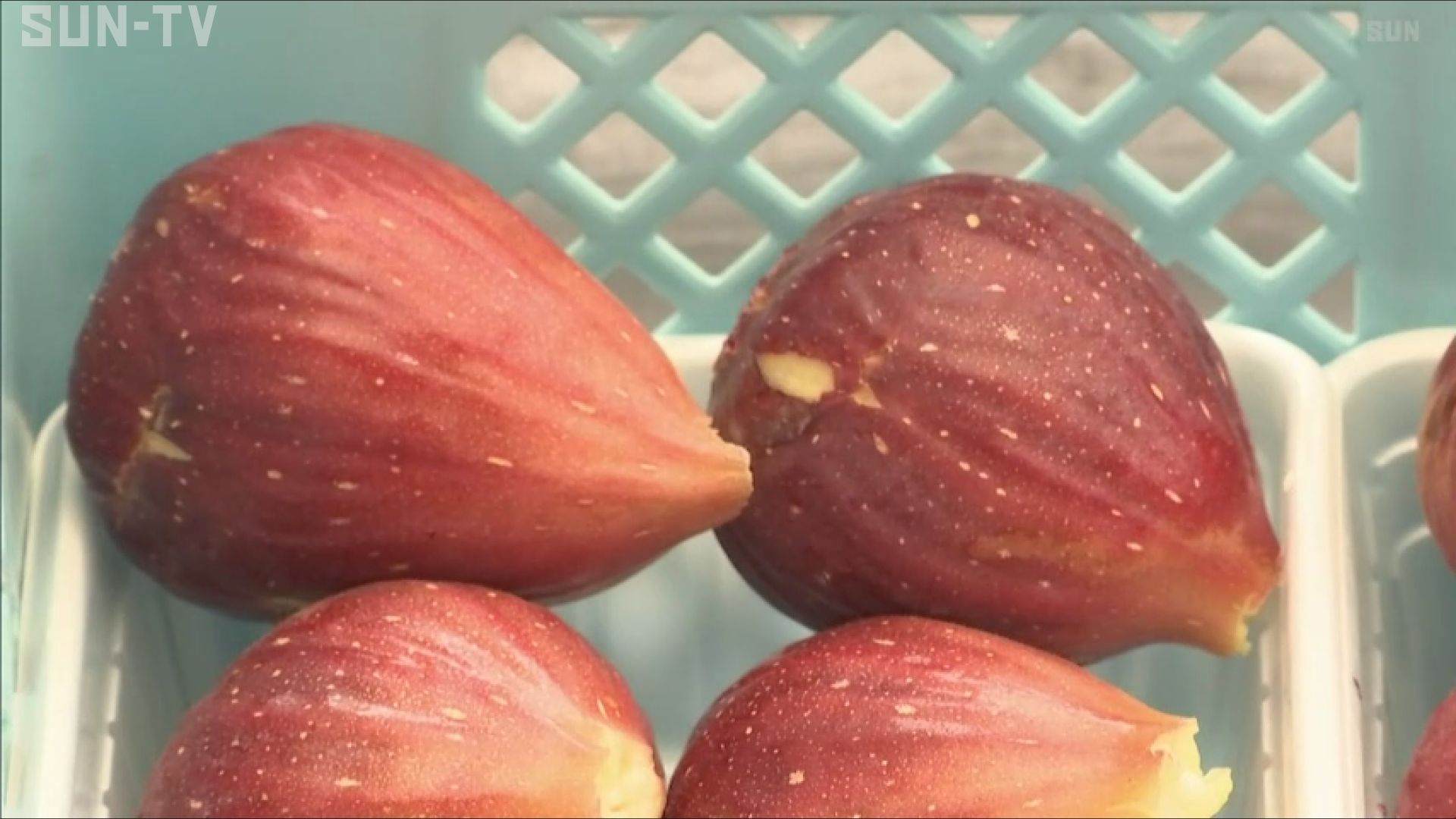 イチジクは収穫後に追熟が必要？収穫や出荷のタイミングは