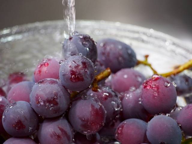 ブドウ 皮ごと食べられる「コトピー」ザ・豊洲市場 公式