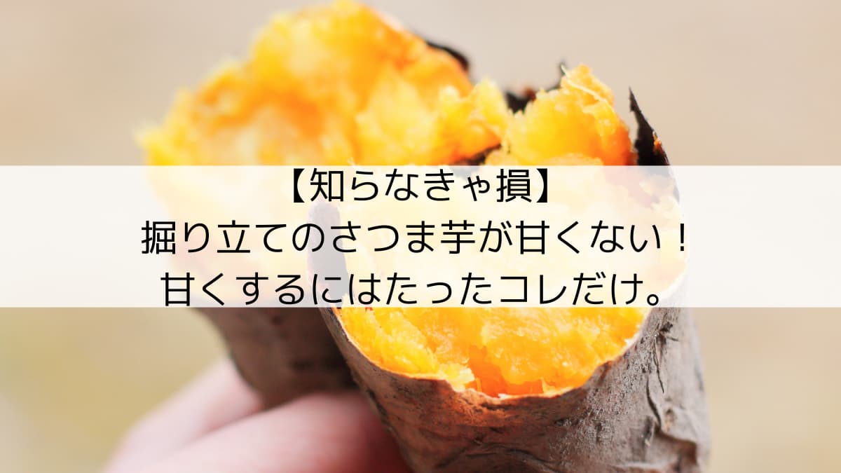 収穫後すぐに食べないで！野菜のプロが教えるさつまいもが甘くなる保存方法 サワハナ- エキスパート - Yahoo!ニュース