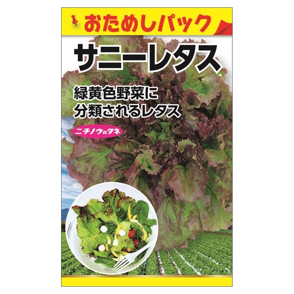 サニーレタスの花って、知ってますか? : ひとり言
