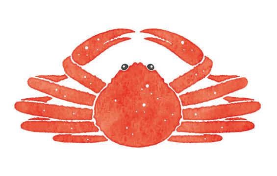 情報量過多定番Ｔシャツの商品購入ページクリエイターのオリジナルグッズ販売のオリラボマーケット