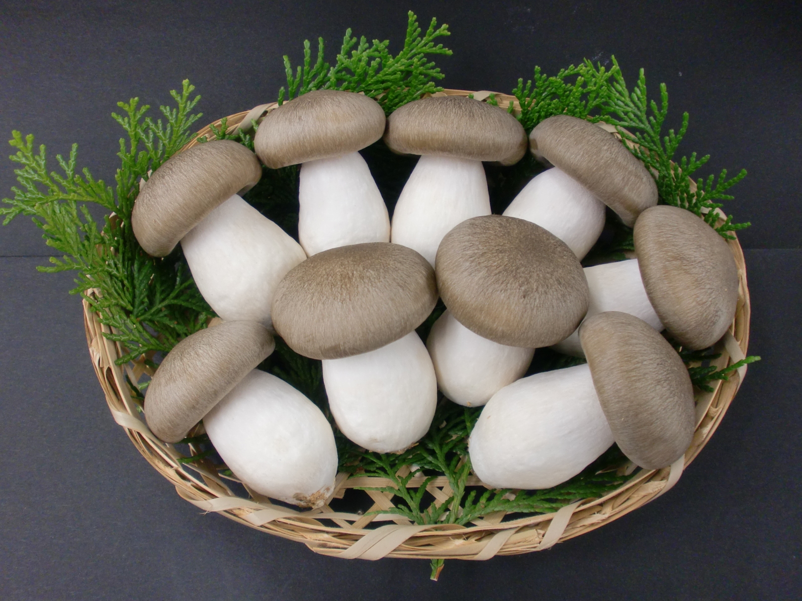 旬を楽しむ！「香り松茸味しめじ」を正しく知っていますか！？ココロもカラダもマンゾクごはん