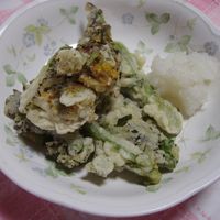 菜の花の天ぷら 副菜 レシピ・作り方 - E・レシピ