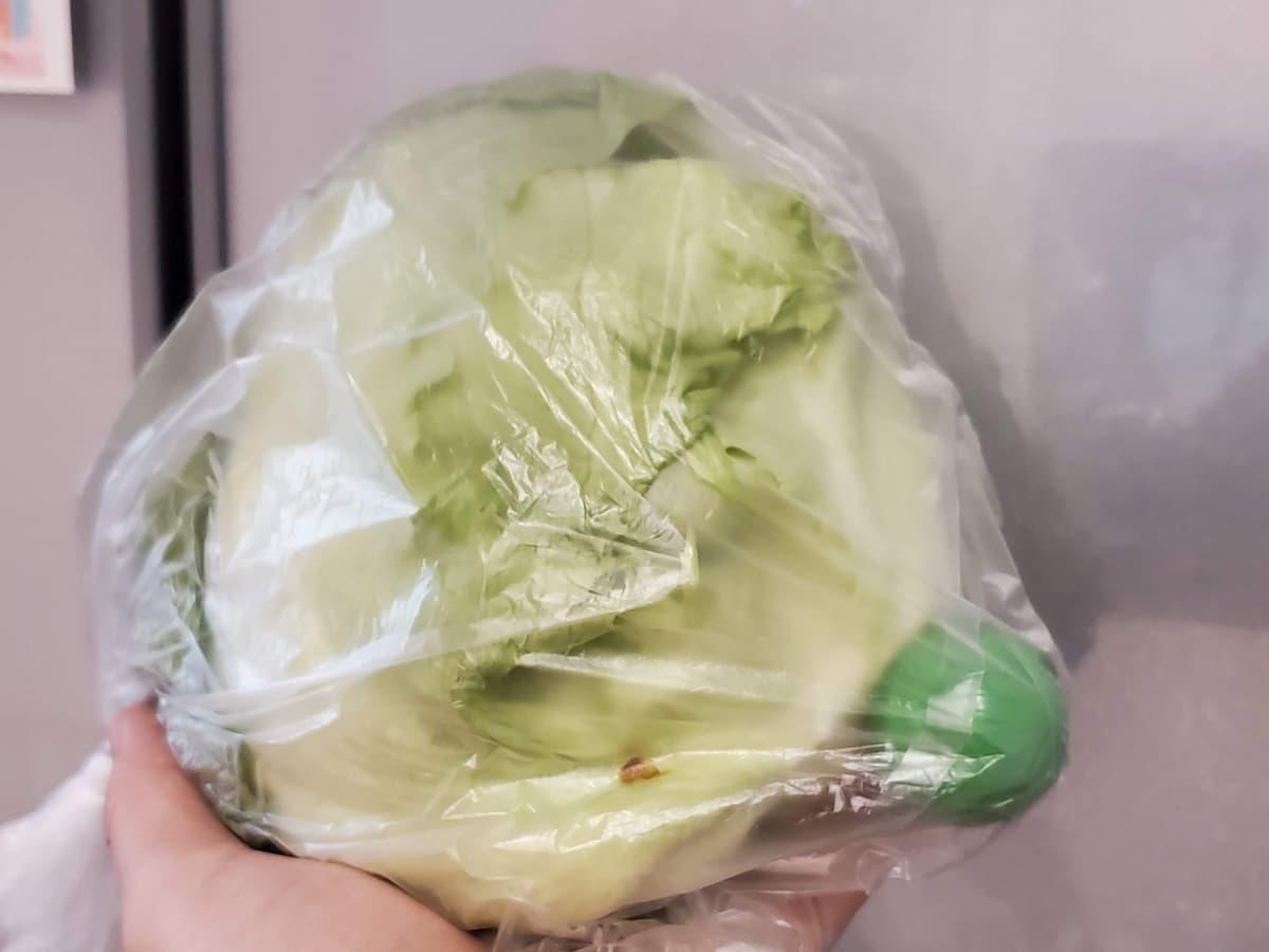 変色防止 レタスの保存方法