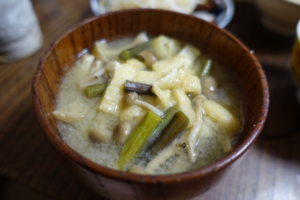 山菜・わらびの簡単アク抜き わらび料理。おひたし・味噌汁・ナムル・一本漬けに挑戦！山形県長井市伊佐沢コミセン