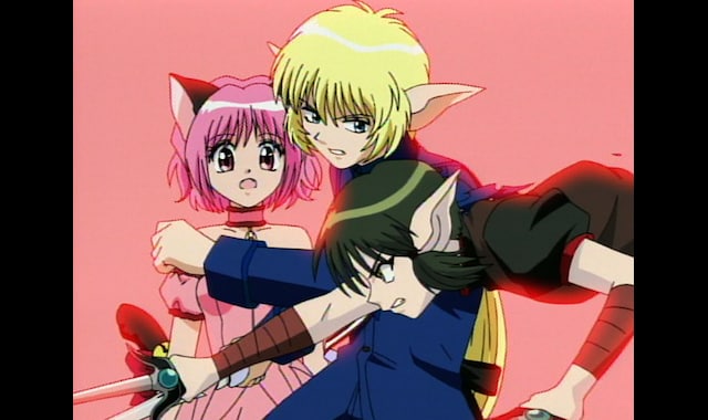 ストーリーアニメ『東京ミュウミュウ にゅ～♡』公式サイト