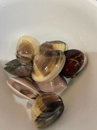 ハマグリについて教えてください！ハマグリの砂抜きをしました。約２リ- Yahoo!知恵袋