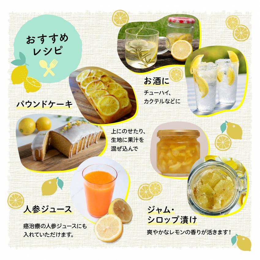 基本からアレンジまで！思わずつくりたくなる「無農薬レモン」のレシピ集クックパッド