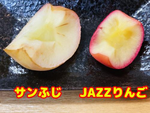 楽天市場 りんご シャーベット 給食の通販