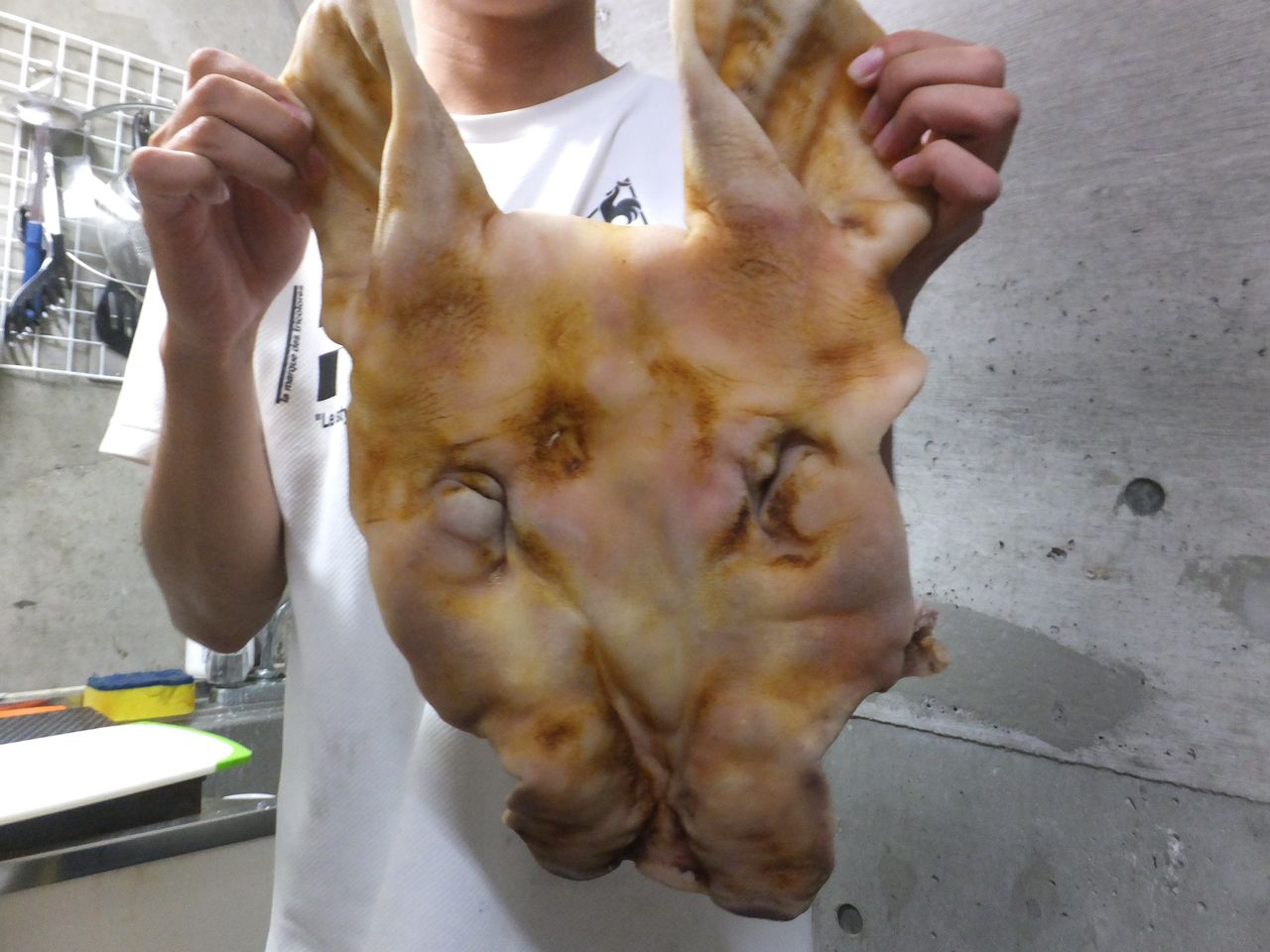 12,300点を超える豚の顔のイラスト素材、ロイヤリティフリーのベクター素材グラフィックスとクリップアート - iStock