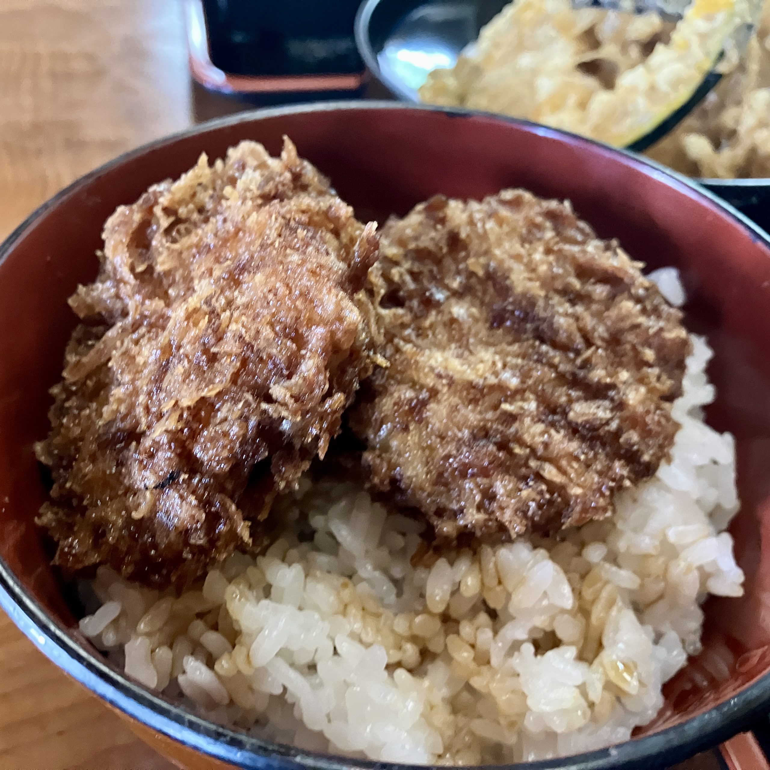 メディア多数紹介 勝負めし ソースかつ丼 かつむすび 12個冷凍 おにぎり がっつり 縁起いい 受験めし 受験生 ゲン担ぎ かつ かつ丼 ソースかつ丼持ち運び 手軽 おやつ 食事 朝食 さくさく レンチン 非常食 簡単 便利 群馬県 前橋市 - 群馬県前橋市ふるさとチョイス