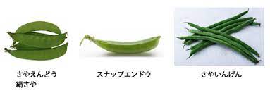 グリンピースとさやえんどうは園芸日記byRei53みんなの趣味の園芸685402