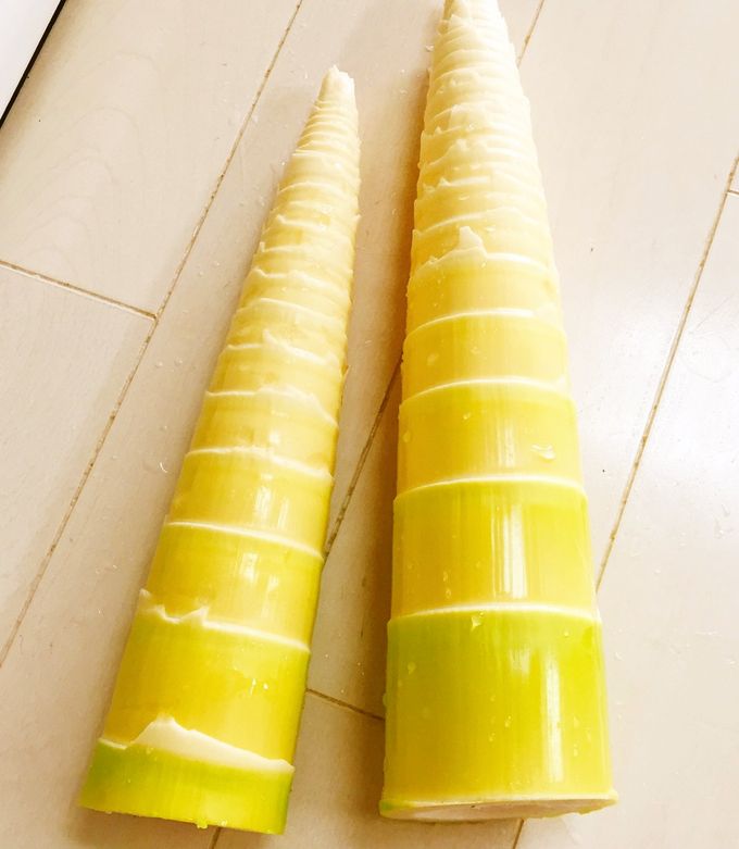初めてでも作れた！ 下処理なしで調理できる淡竹 ハチク の簡単レシピニミログ田舎暮らし・移住に関するWEBマガジン